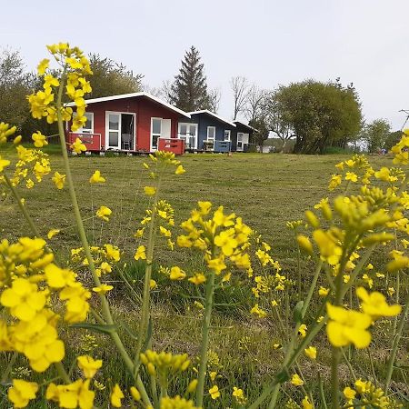 Kiszkowianka Domki Skrzeszewo  Exteriér fotografie