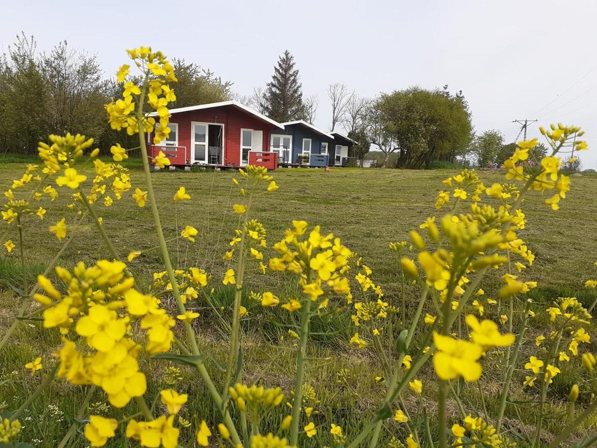Kiszkowianka Domki Skrzeszewo  Exteriér fotografie