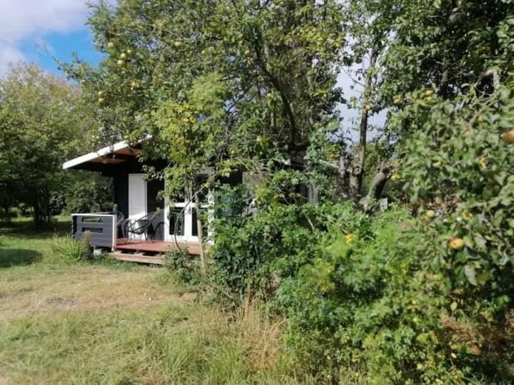 Kiszkowianka Domki Skrzeszewo  Exteriér fotografie